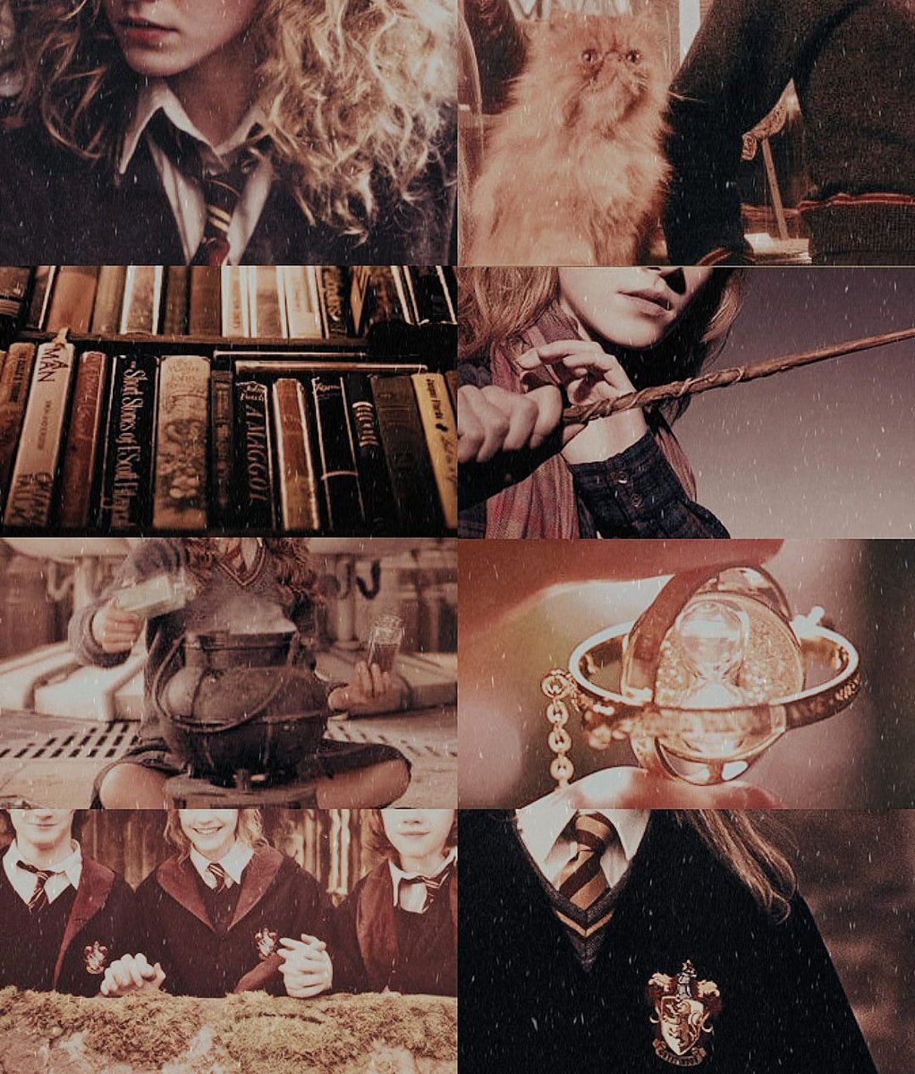 ┗━┉；Feαr oғ α ɴαмe oɴly ιɴcreαѕeѕ ғeαr oғ тнe тнιɴɢ ιтѕelғ.

❃*•୭ ➫ Herмιoɴe Jeαɴ Grαɴɢer.
╰───; Mυdвlood; proυd тo вe ιт.

┋♡: Gryғғιɴdor 
┋♡: Rᴏʟ ᴄᴏʀᴛᴏ ʏ ᴇxᴛᴇɴsᴏ.
┋♡: Goldeɴ Trιo. 
┋♡: OF — ED.

❃* RT ↷