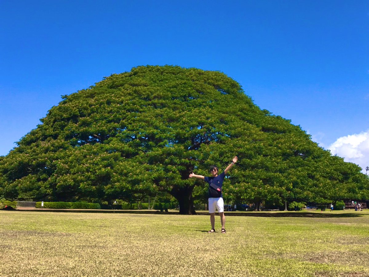 今年一年大変お世話になりました。
そしてたくさんのご声援ありがとうございました。
喪中のため新年の挨拶は失礼させていただきます。
また来年も引き続きよろしくお願い致します。