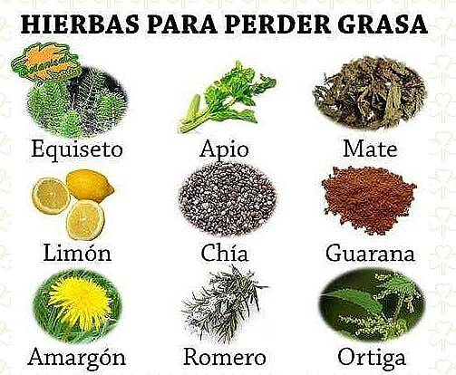 CtfoEuropa's tweet photo. Remedios Naturales para perder grasa.
#autonomos #internet #exitoso #masdinero #tusector #economiaverde #negociossostenibles #economiacircular #sostenibilidad #life #aloevera #españa #portugal #francia #italia #alemania #londres #holanda #reinounido #belgica #filandia #dinamarca https://t.co/s5yE5TnTiy