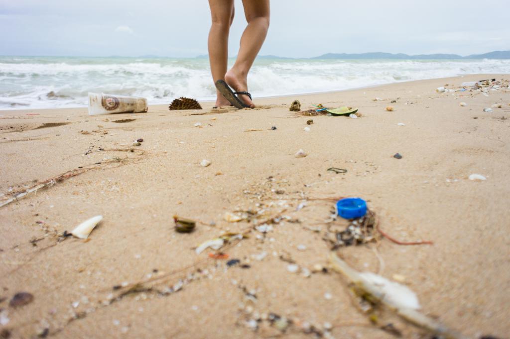 TheCleaningQ's tweet photo. Some of the most common items found during beach cleanups include cigarette butts (with plastic filters), food wrappers, bottles, bottle caps, and shopping bags.

#TheCleaningQuest #cleanerbeach https://t.co/MRVjN5tvOd