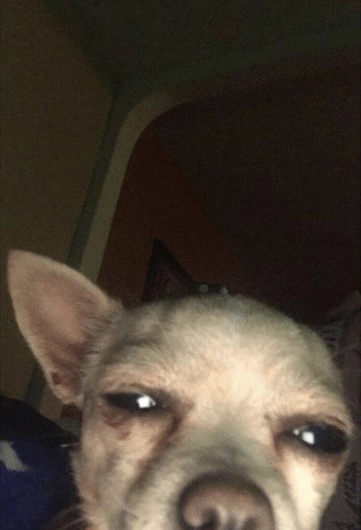 JonasQuirin's tweet photo. What you all look like trying to see what randomized disney character you are thru insta https://t.co/48AWqjmgb9