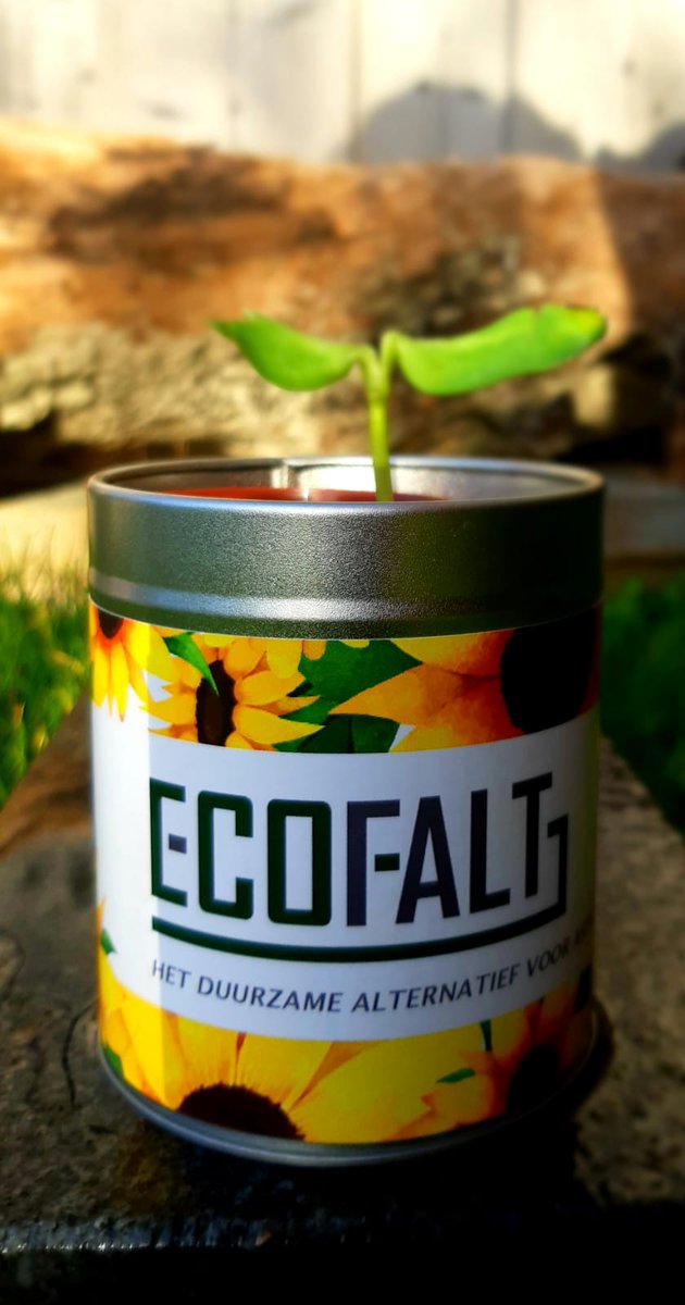 2019 was een goed jaar voor de ontwikkeling van Ecofalt! Veel geproduceerd, aangelegd en gezaaid! In 2020 bouwen we verder aan duurzame wegen!🌻🛣🌏♻️✅