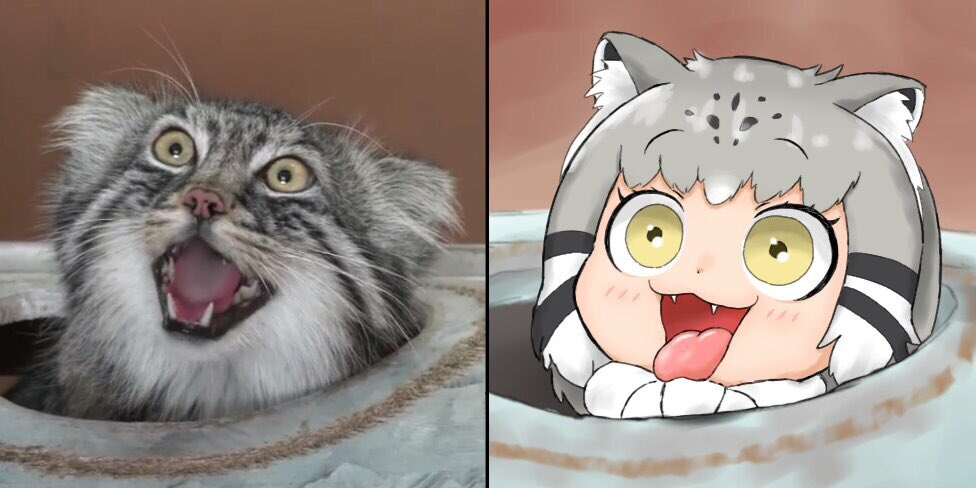 「#2019年自分が選ぶ今年の4枚
来年はもっとイエイヌちゃんの可愛さ引き出せたら」|ななちー🐶のイラスト