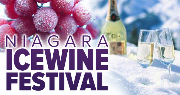 JohnPinter12's tweet photo. NIAGARA ICEWINE FESTIVAL 2020

@ Niagara Region, Canada.
Celebrate winter in wine country with the Niagara Icewine Festival! (January 10–12, 17–19  &amp; 24–26).  Over 35 wineries pouring their award winning Icewines. Read more..
https://t.co/TzJN4CCDhN
#NiagaraFalls #Niagara https://t.co/432UvrhZzK