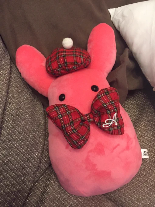 今年もあいだいろは共に大晦日を楽しんでいます。今年はもっけと一緒✨
象使いの人の帽子がかわいい? 