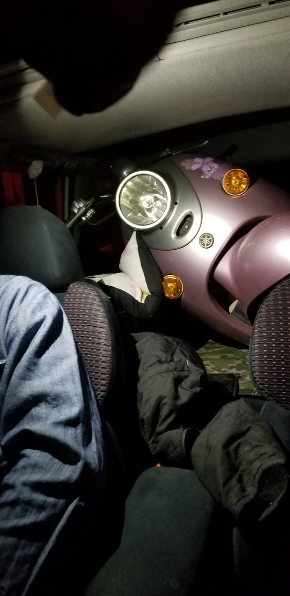 カメリア💄💚‎🌩 on X