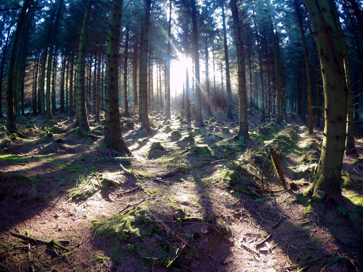 JennyTinmouth's tweet photo. Finally got it nailed with the stills setting on the Olfi 😃.... @OPALlandegla is just a bit nice 😃 #olfi #onelifefilmit #actioncamera #oneplanetadventure #wales #sprocket #llandegla @olficamera https://t.co/CYNzyveaBe