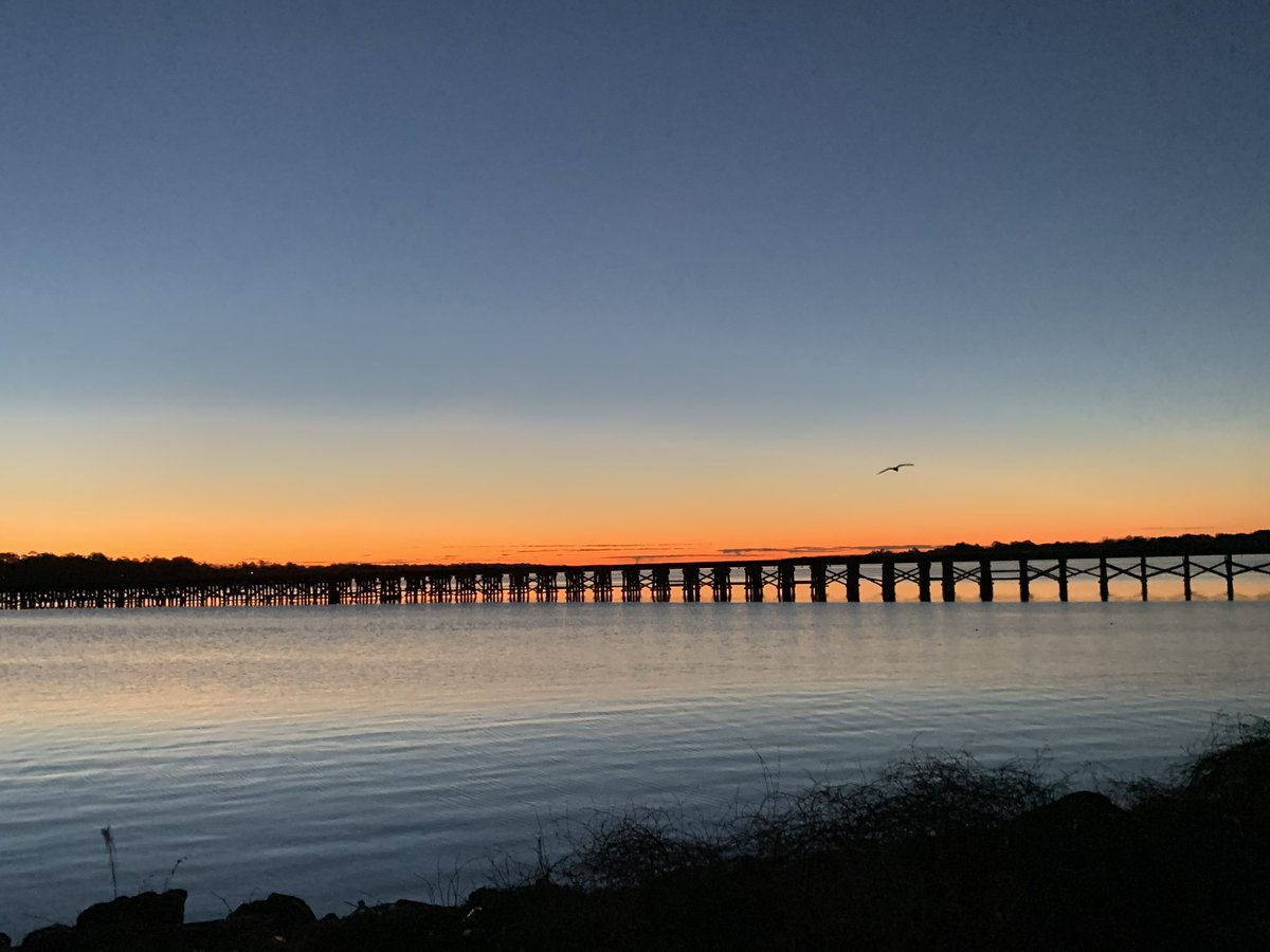 David Jackson tweet media