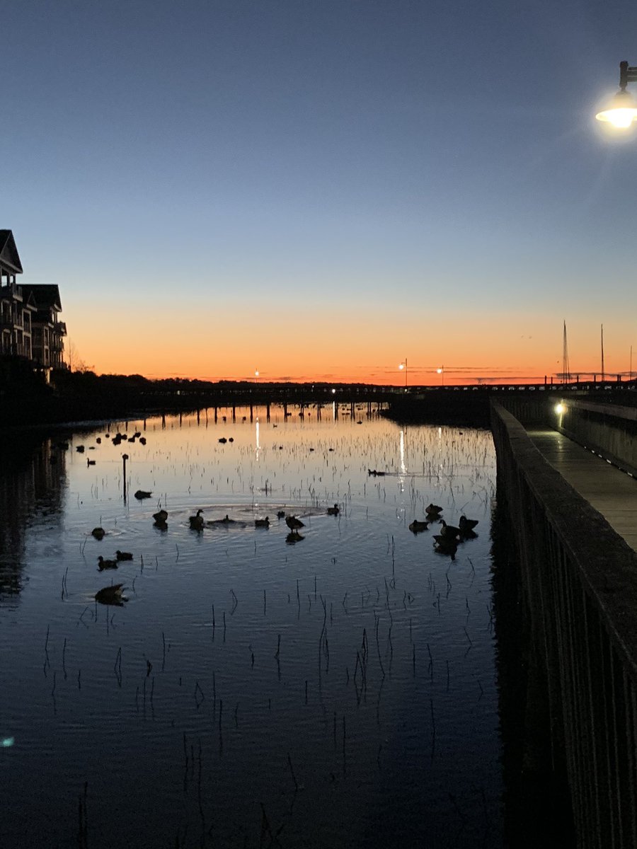 David Jackson tweet media