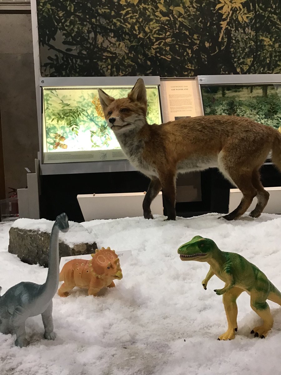 Museum_Cardiff's tweet photo. We'd love to see some pictures of your dinosaur toys in the wild as you go for your new year walks!
Get creative - we'll share the best images!
#DippyArDaith #DippyOnTour
@DippyOnTour
https://t.co/NfgBHqBqeA https://t.co/n5qhMI3Png