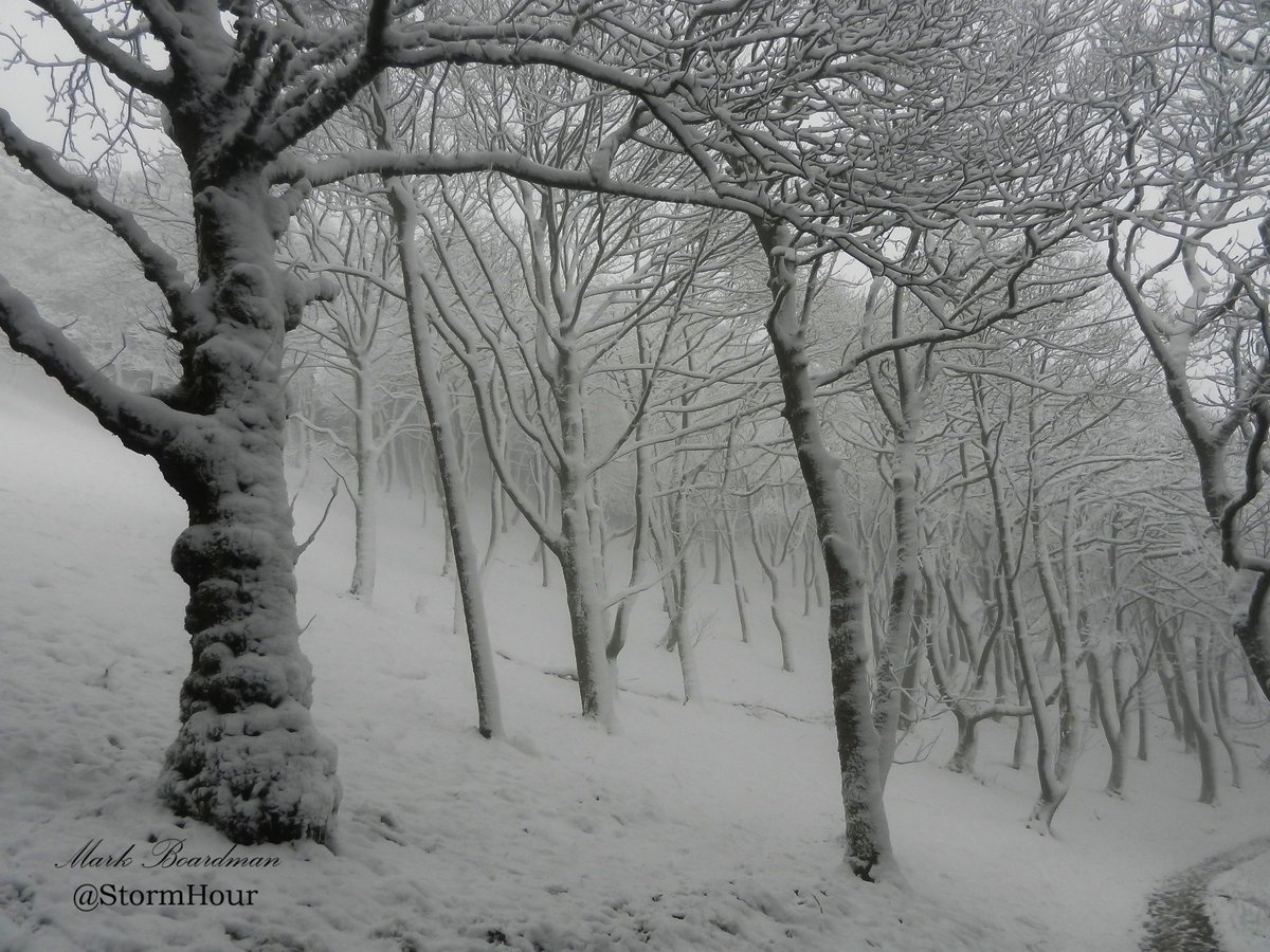 StormHour's tweet photo. Enter the Weather Photo Competition to win the @RMetS Calendar &amp; a year's membership! ~ https://t.co/a9lrrAVafX

1 image per Tweet
Send to @StormHour
Hashtags #StormHour &amp; #POTW only
Describe photo &amp; location
Only entries fulfilling these conditions can be considered :) ~ Mark https://t.co/KEW1m89gqb