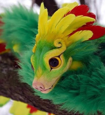 Wera Supernova🌟 tweet media