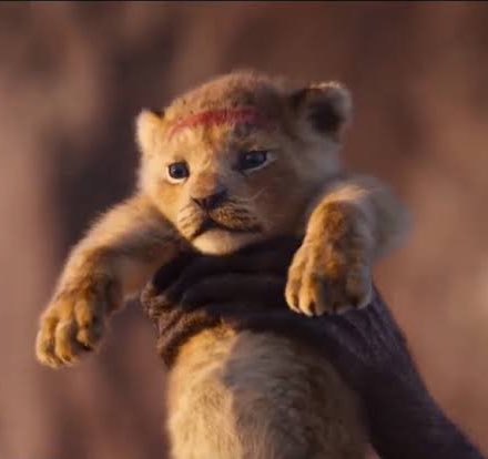 Wera Supernova🌟 tweet media