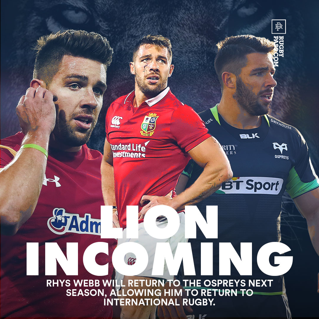 RugbyPass's tweet photo. A return to cement a place for South Africa 2021? #Lions #Wales #RhysWebb https://t.co/Kijq0VZw0A