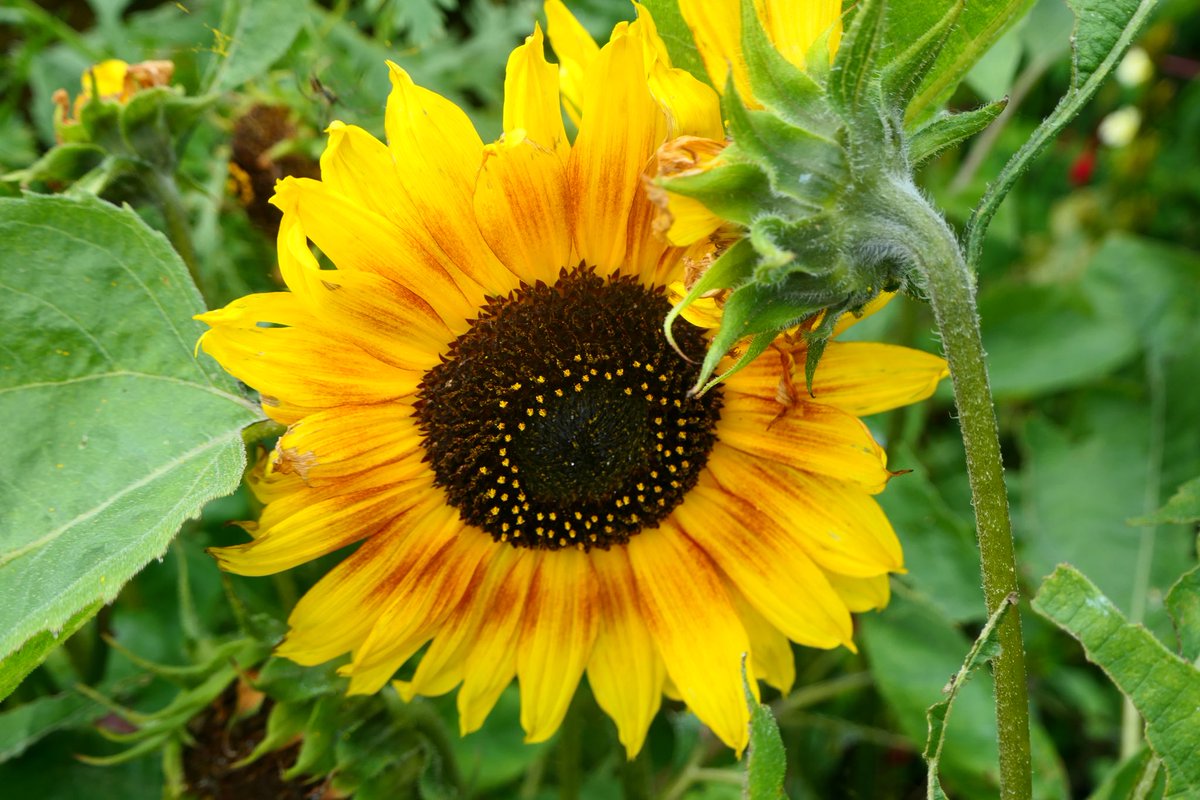 Bridget (@bridgetleonar15) on Twitter photo 