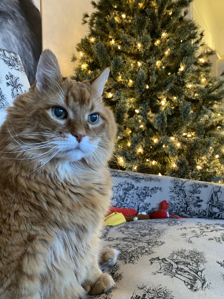 FizWomack's tweet image. Oh crap! 

Tomorrow is January... the Monday of months. 😬

#HappyNewYear #NewYearsEve