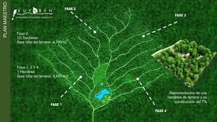 CoreHavens Network 🏝 tweet media