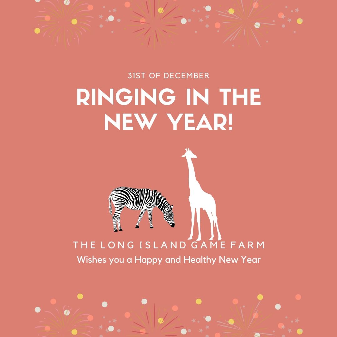 Long Island Game Farm Giraffe Clipart