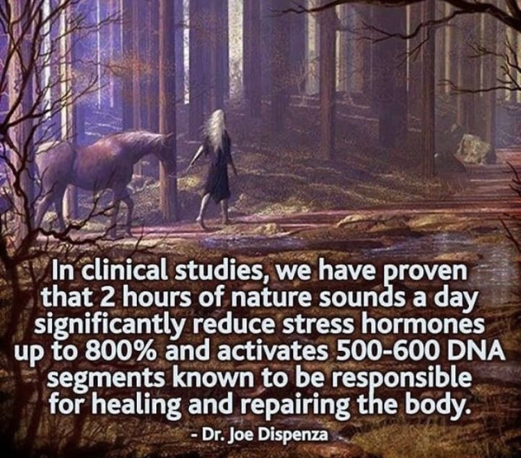 Trutherbotanyo2's tweet photo. True medicine https://t.co/ySuej5z6cn