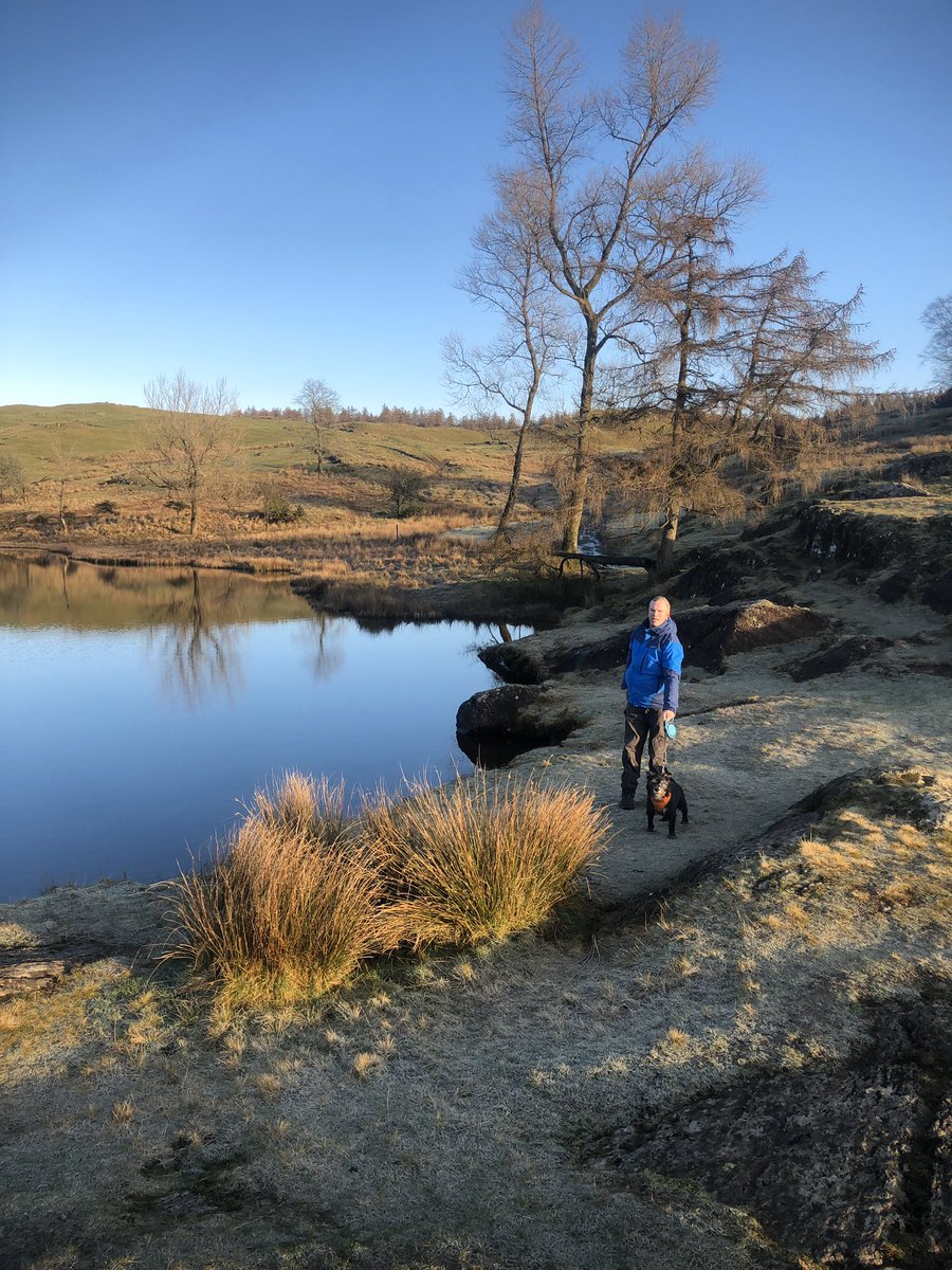 tracey_bray's tweet photo. What a beautiful day in the #LakeDistrict #FarSawry #MossEcclesTarn with @PSBray and #BobtheDog https://t.co/aA4VNSu5TG