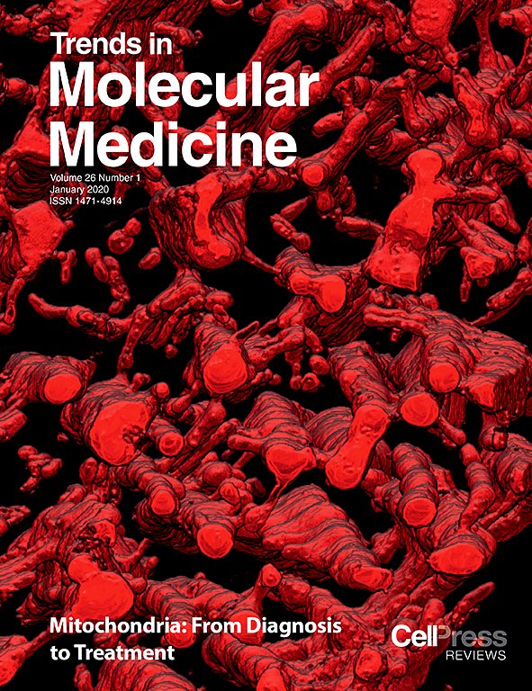 Guofeng_L's tweet photo. Our paper "Mitophagy and Neuroprotection" in the 2020 new Special Issue: Mitochondria - From Diagnosis to Treatment on Trends in Molecular Medicine. @TrendsMolecMed @TheFangGroupUiO https://t.co/laDVjqkBGC
