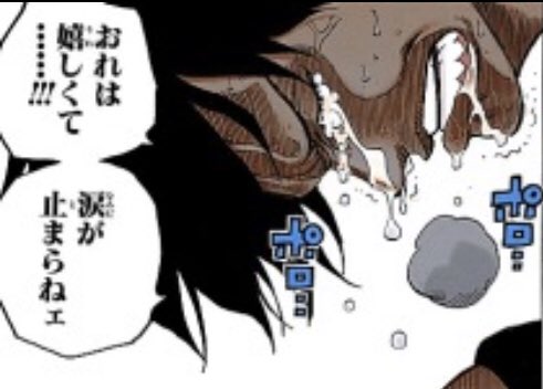 One Piece バウンティラッシュ 公式 予告 新キャラクターを紹介 海賊王の息子 ポートガス D エース 属性 緑 スタイル ゲッター 伝説の海賊ロジャーの息子 エースが参戦 敵の行動を阻害することに長けたゲッターだ スキル 大炎戒