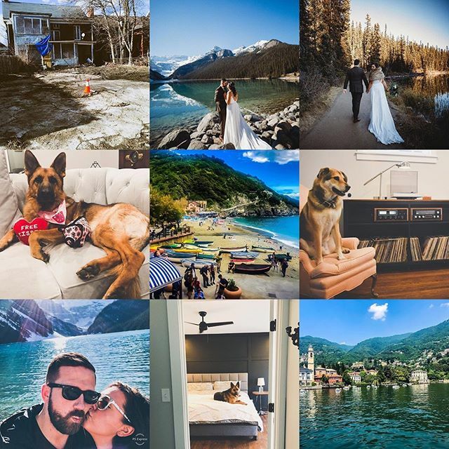 BetsyJoye's tweet photo. Marital bliss, European adventures, &amp; many more home projects.  2019 was definitely good to us! 
Cheers 🥂 to 2️⃣0️⃣2️⃣0️⃣! https://t.co/u114jFRq7P https://t.co/qLfYIyVTG0