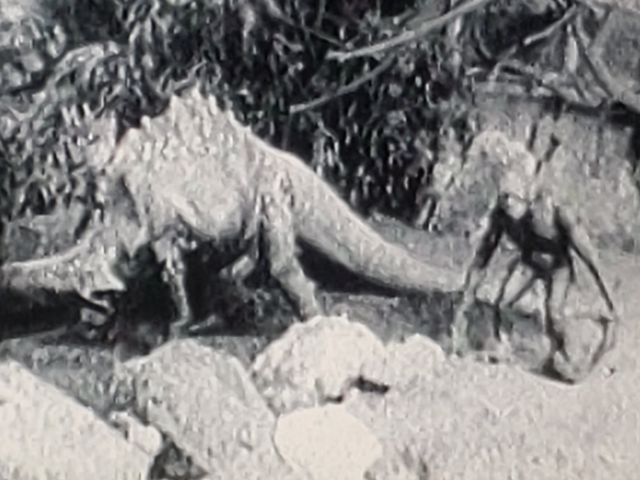 印度洋一郎 Yoichiro Indo ディズニー最初のアニメ スタジオ ラッフォ グラムの次は 怪獣好きは足を向けて眠れない モンスター映画の始祖ウィリス オブライエンの 恐竜とミッシング リンク 猿人ワイルド ウィリーvs アパトサウルス T Co 印度洋一郎 Yoichiro Indo ディズニー最初のアニメ スタジオ ラッフォ グラムの次は 怪獣好きは足を向けて眠れない モンスター映画の始祖ウィリス オブライエンの 恐竜とミッシング リンク 猿人ワイルド ウィリーvs アパトサウルス T Co