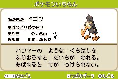 تويتر まろ على تويتر ポケモンベガ図鑑レビュー No 64 ドゴン かくとう ひこうタイプの鳥ポケモン だが どの辺が格闘タイプなんだろうか 同タイプ複合はxyより登場のルチャブルと同じ ドゴンと比べると 覆面レスラーがモチーフなのですんなり格闘タイプだと