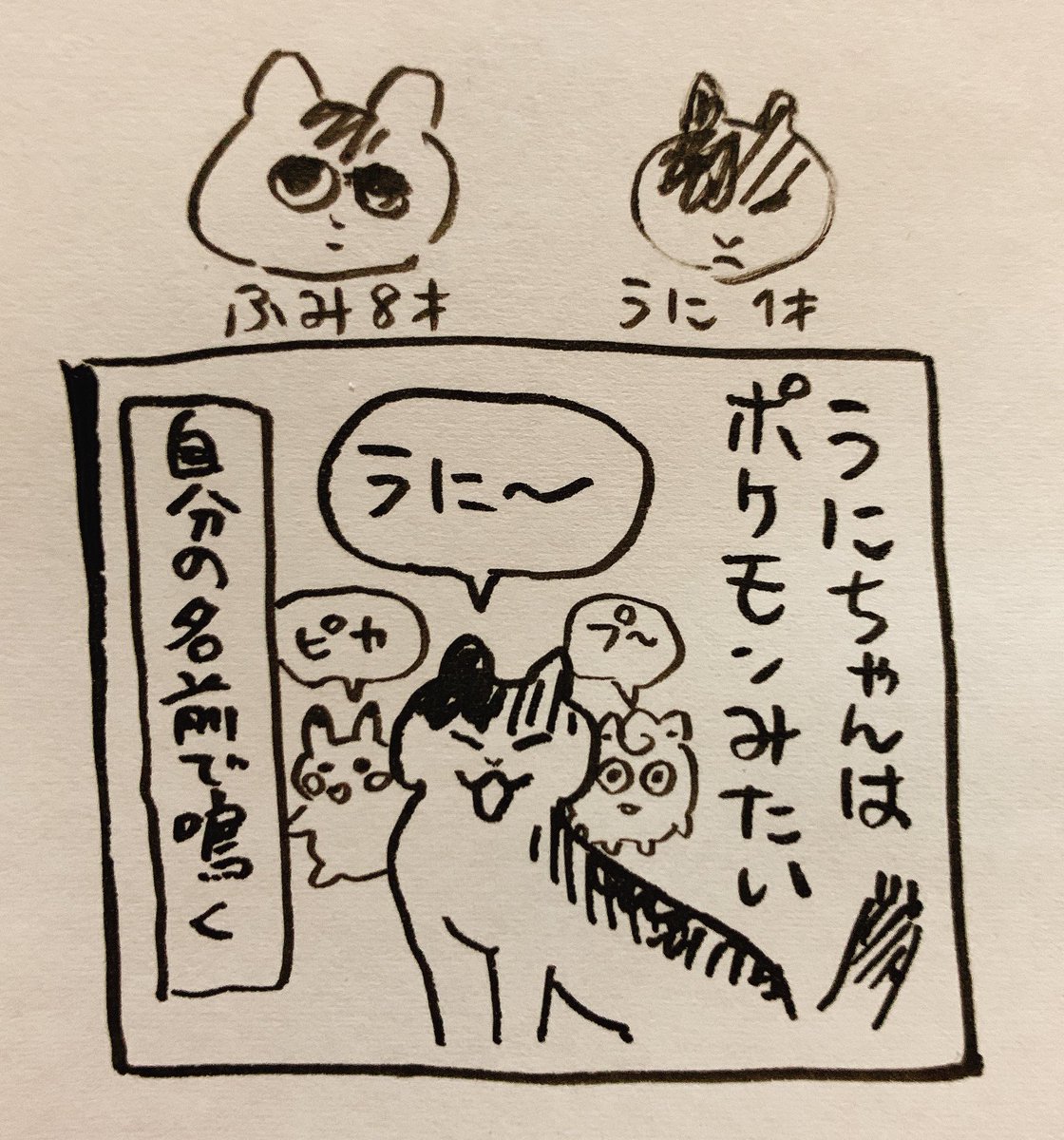 毒にも薬にもならないオチだけど猫が好きで描いてしまった猫マンガ 
