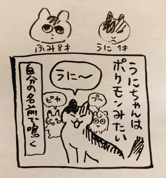 毒にも薬にもならないオチだけど猫が好きで描いてしまった猫マンガ 