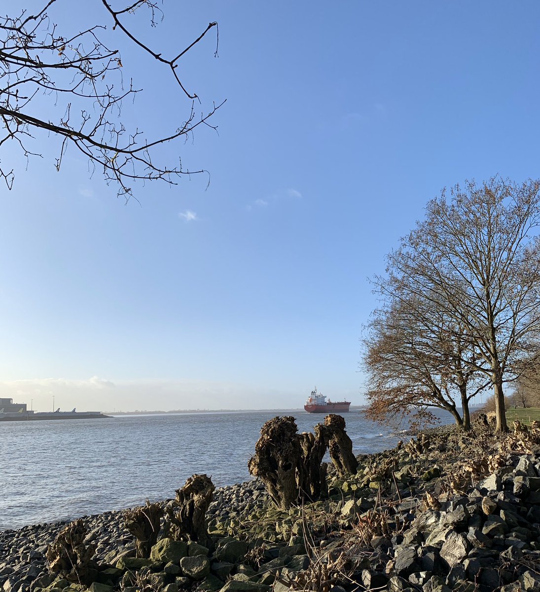 Die blaue Elbe in Blankenese, zarter blauer Himmel, und ein großes rotes Schiff am Horizont.