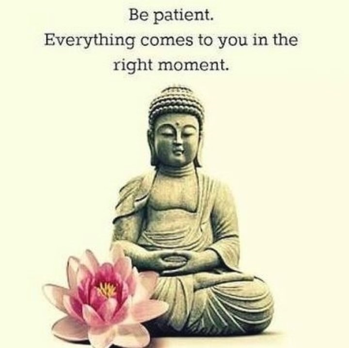 waldwind's tweet image. 