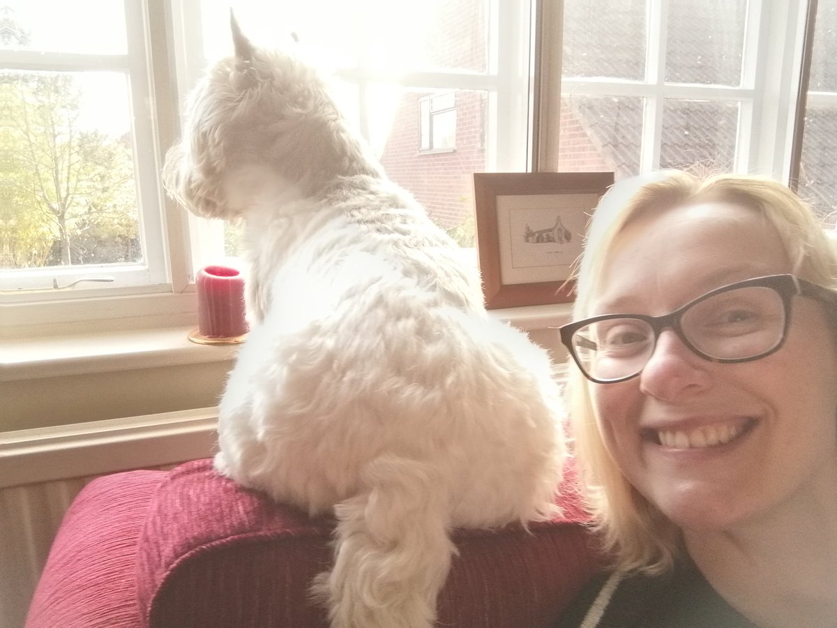 ernpup's tweet photo. Hamish has kindly agreed to help Mum with blogging duties and given me the afternoon off π #dogsthatblog #dogsoftwitter https://t.co/e4n8vHJ59e