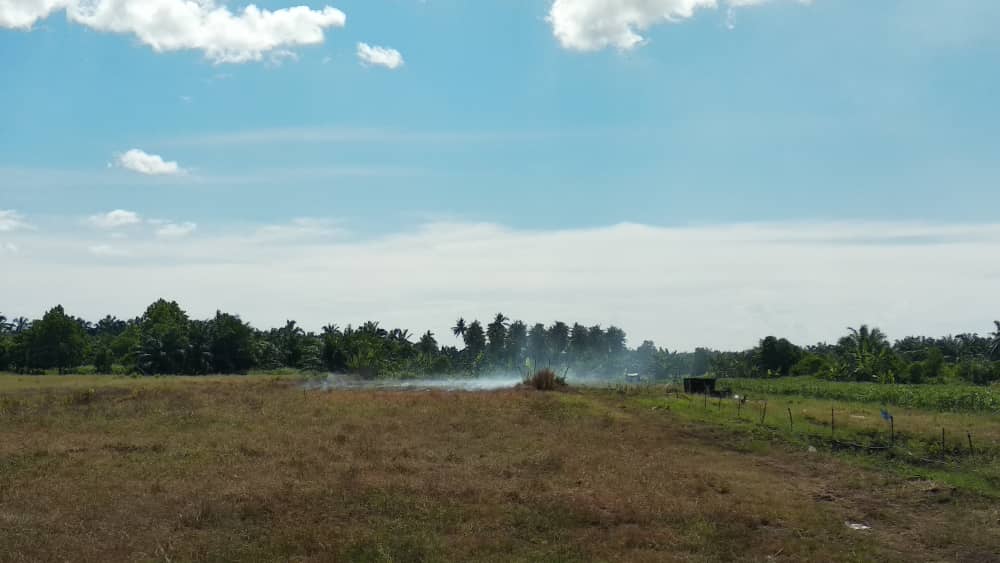DrTELS's tweet photo. Day 1 visiting some old burn sites and to also unexpectedly find some new ones. Lots of open burning in North Selangor, Malaysia. High water table this time of year so unlikely to burn into the peat... We'll see! 
#forpeatsake https://t.co/4CNzihYm6o