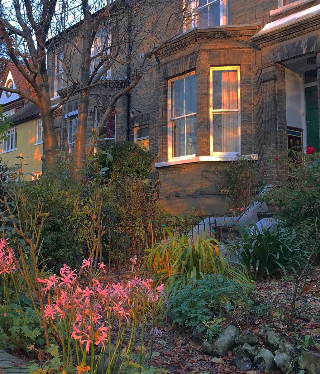 ˚༺♡ 𝔡 𝔞 𝔯 𝔠 𝔦 tweet media