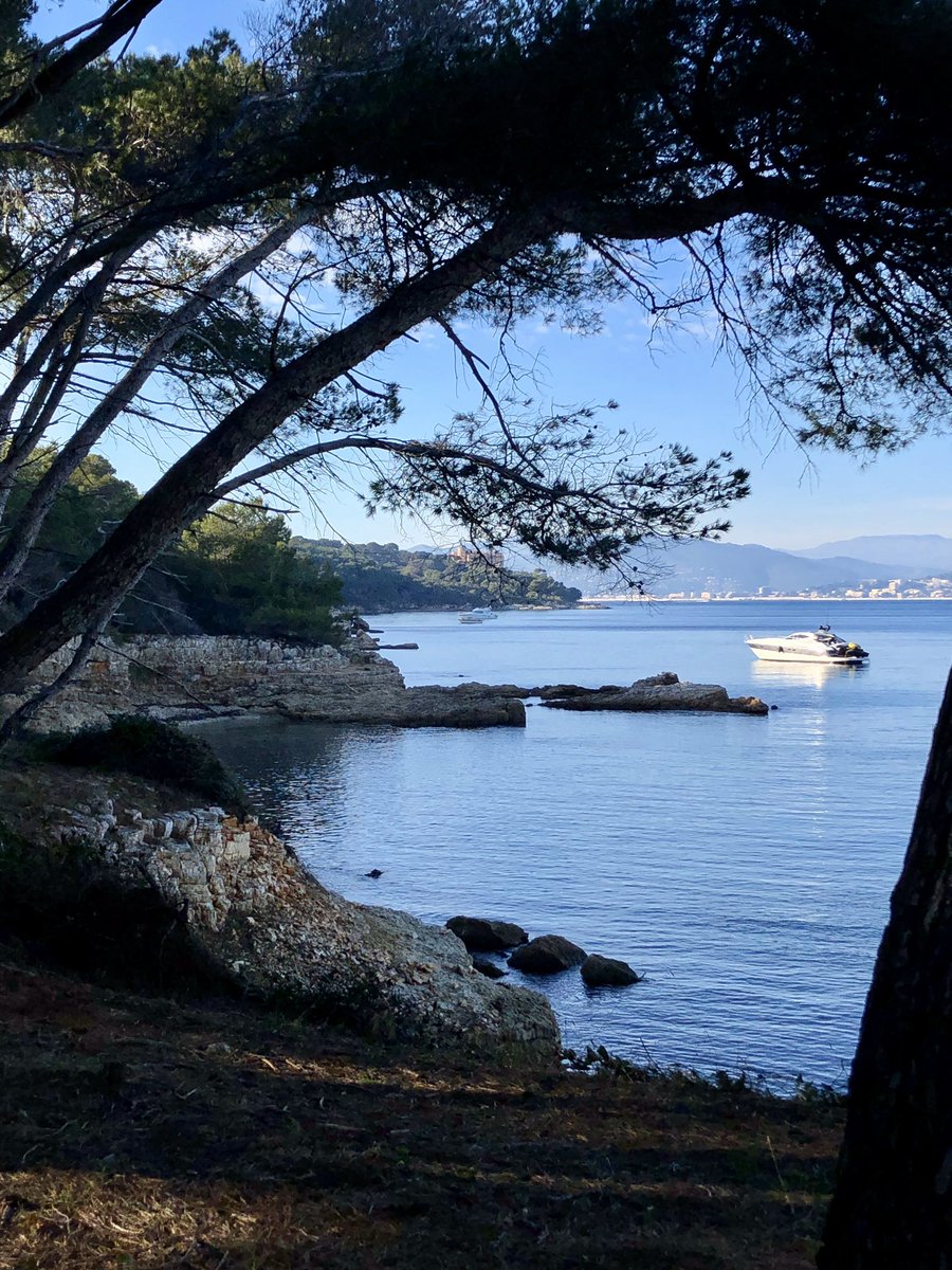 Dr_C_Castagnola's tweet image. Magnifique journée du 31 décembre sous le soleil  🌞 du  #sud #06 @pr_gfournier #brest @MalletR #perigueux @Th_Lebret  #aberwrach