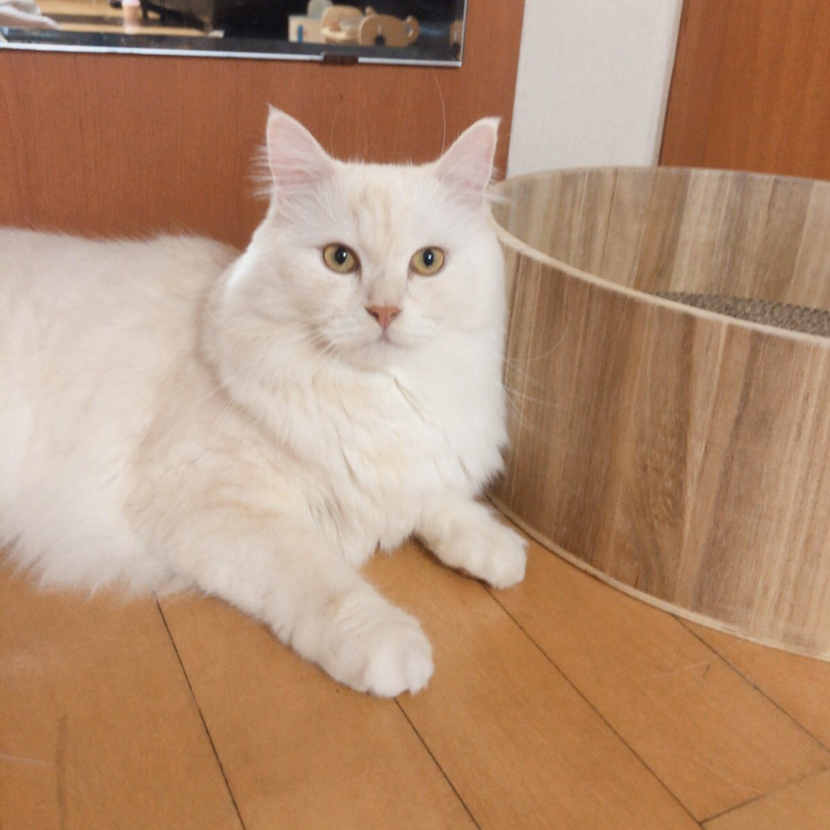 올해도 가족들에게 큰 힘이 되어줘서 고마워! 2020년에도 아프지말고 편안한 한 해가 되길💛