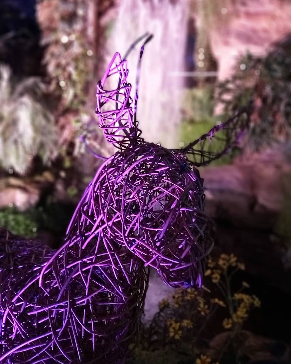 A mother with a gentle calm, her sleeping brood curled in her arms. She looks upon a lonely doe, wandering calmly in the grove. 

The mother asks her with a gaze, where she's headed for that day? The doe stares back with restful charm; to no where but her own babes' arms.❤ #poem