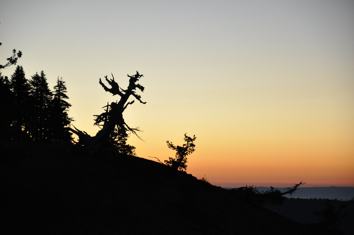 EricaRexes's tweet image. Wishing everyone a Brilliant New Year, filled with the achievements you set and the goals you accomplish! While I continue to push my body to return to mobility, I hope to regain the freedom of being able to find work, and the nature I once was immersed in.