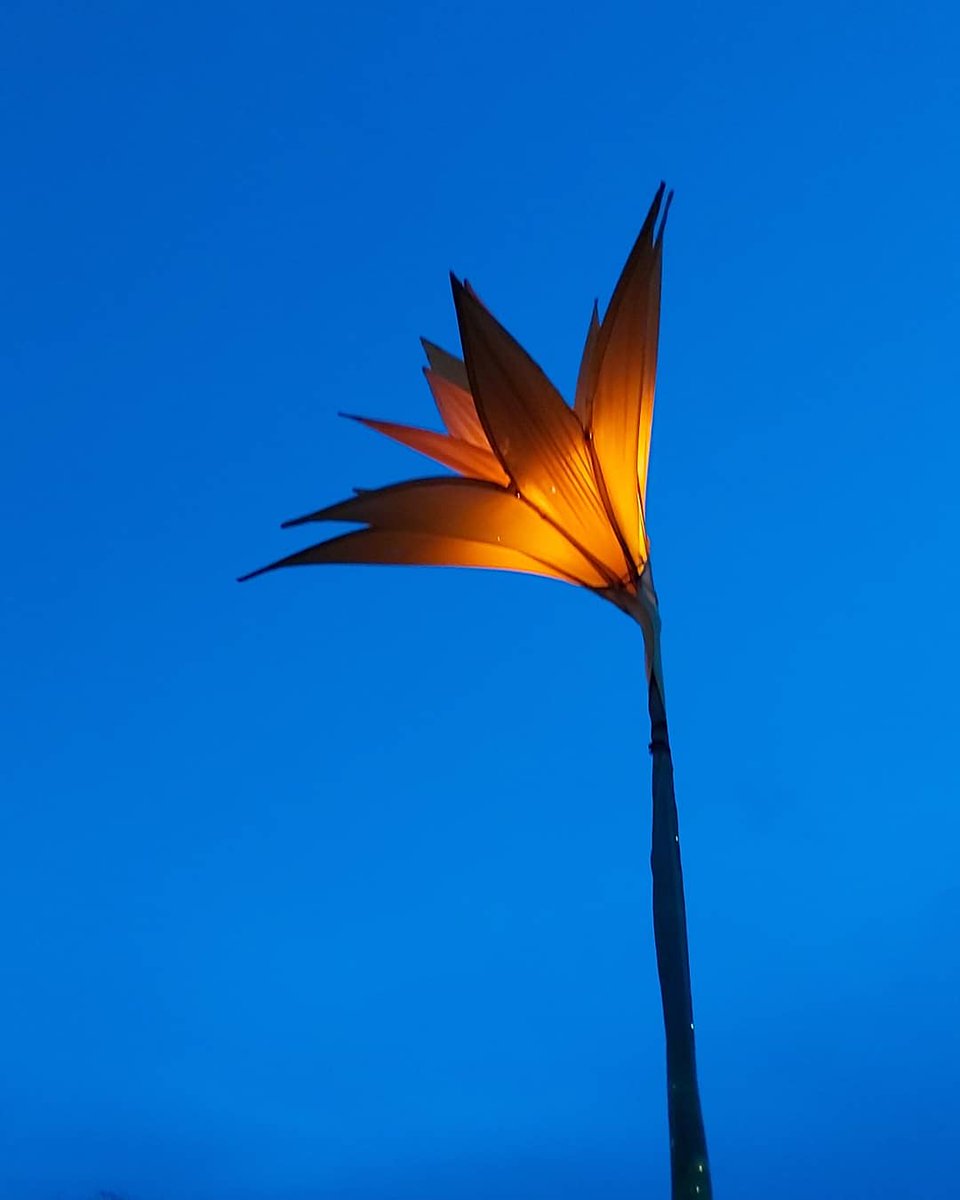 The year creeps on, relentless its never ending flow, sneaking in a new decade as winds of change begin to blow. #happynewyear2020 #micropoetry