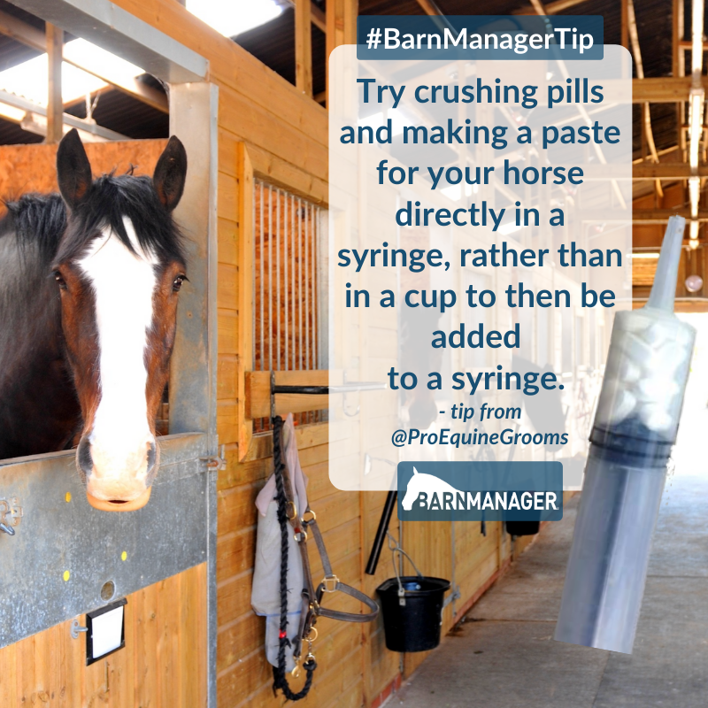 BarnManager1's tweet photo. #BarnManagerTip from @ProEquineGrooms: “When you need to crush pills and make a paste for your horse...Put all of the pills into your syringe, then suction some water into it. Shake and wait for your pills to dissolve. No mess to clean and all of the medication is ready to go!” https://t.co/sUOW2hpERI