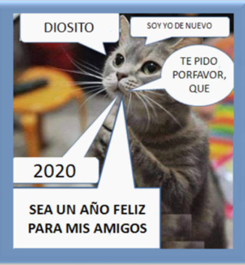 elia bazan tweet media