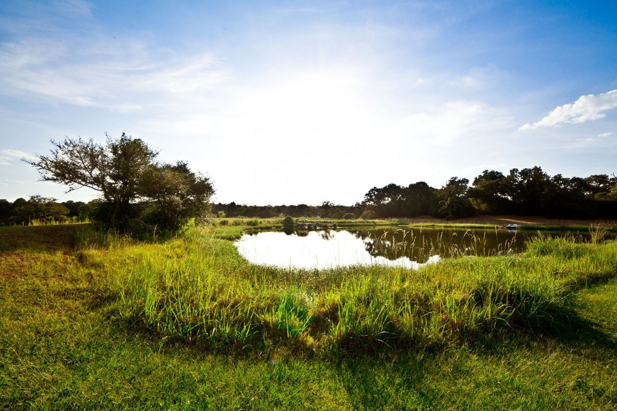 farmandranchpub's tweet photo. #Texas #TXTUESDAYS
Getaway Home - 15.2 Acres
Harwood, Texas
https://t.co/pu12CaRvwF
#farmandranch #fenced #secluded #stockedponds #cattleguard https://t.co/qqbIwYIOzn