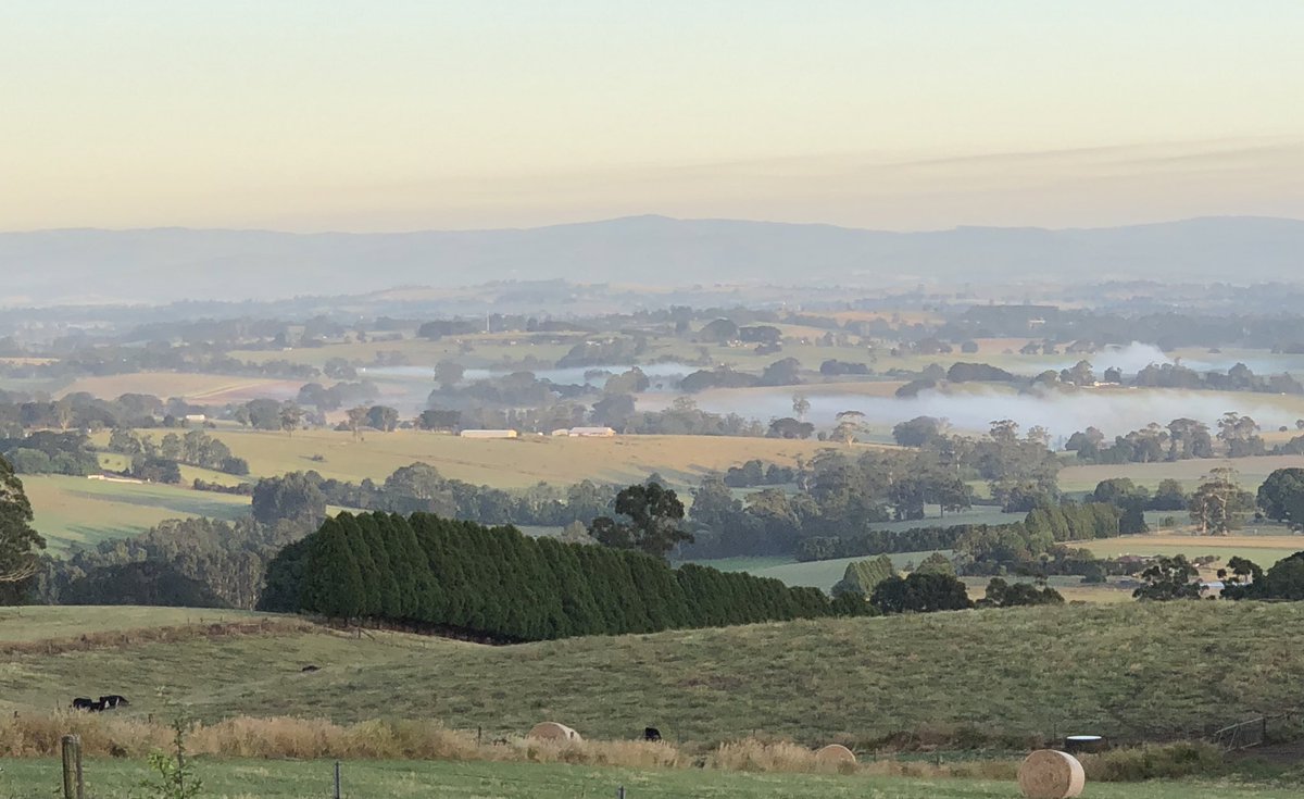 Rowena Barrett tweet media