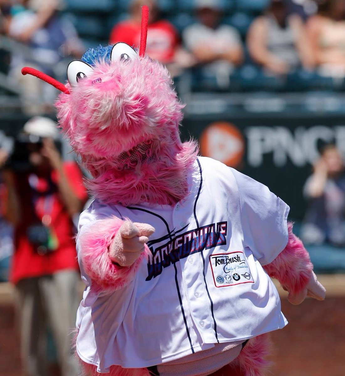 Jacksonville Jumbo Shrimp tweet media