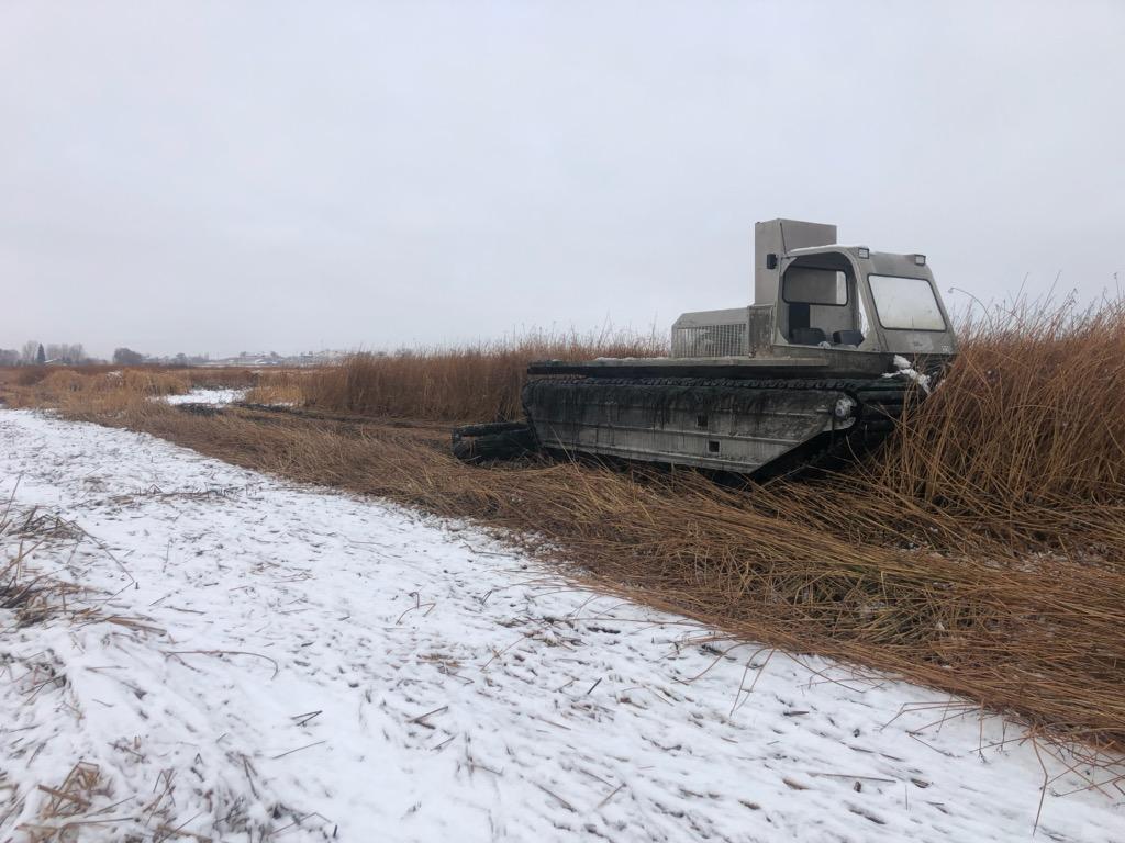PMGVegetation's tweet photo. It's a great time of year to do some cattail trampling. #wetlandweedcontrol #noxiousweeds #marshmaster #invasivespecies #habitatrestoration https://t.co/tZrnCHSn3X