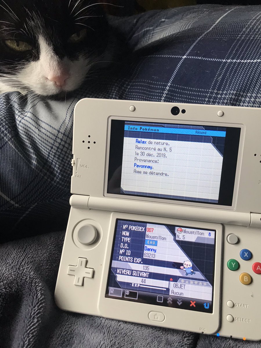 wooloofarmer's tweet photo. omg guys after 5 months of hunting i finally got this adorable little shiny oshawott after 11,669 SRs!! isn’t he just the cutest?! 😭💕 anyway, can you guys guess who the next target for my black 2 DTQ will be? i’ll give u a hint: it starts with “s” and ends in “ewaddle” 😉 https://t.co/LUoOY1fZfu
