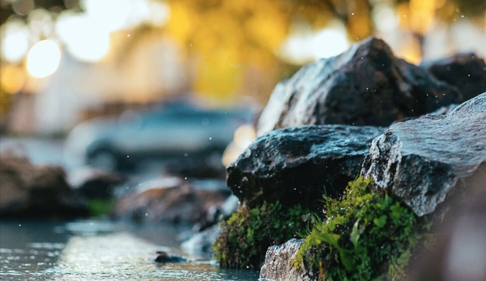 Today is the last day of 2019!

It is your last opportunity to give your year-end, tax-deductible gift to Friends of the Baraboo River Inc. Every dollar received will be used to forward the organization’s mission. 

secure.squarespace.com/checkout/donat…