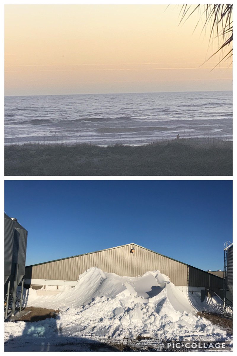 farmerbart's tweet photo. This to this...yuck. Can’t wait to get home...NOT! #NewYearsEve #Florida #2019grind #Nebraska https://t.co/w9txIUWuVH
